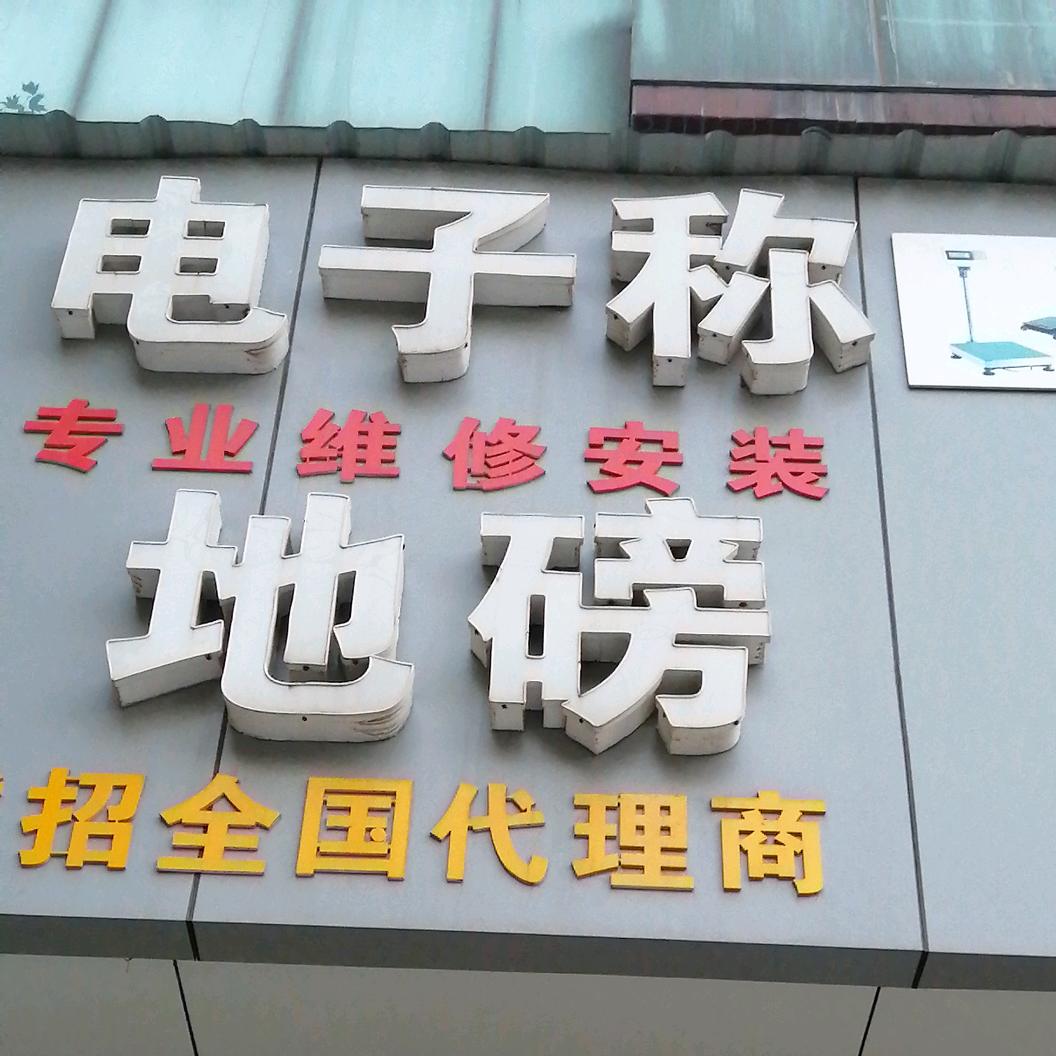 豪诚地磅电子秤