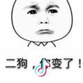 陈二狗9527