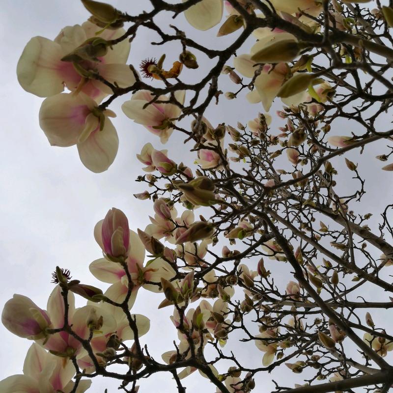 鹰牌陶瓷，君悦瓷砖永善店1084258