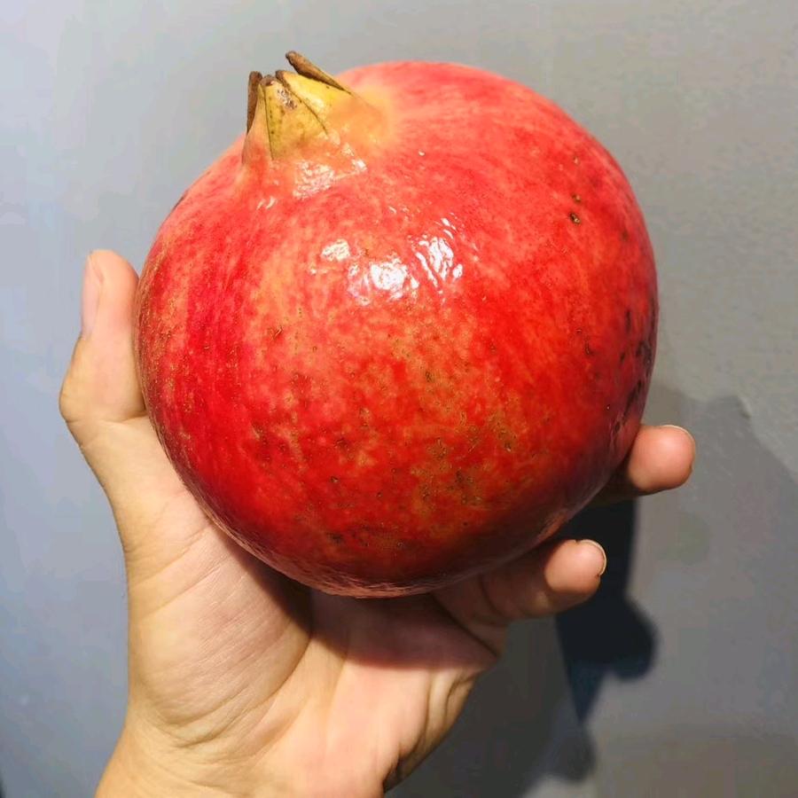 郭小闹
