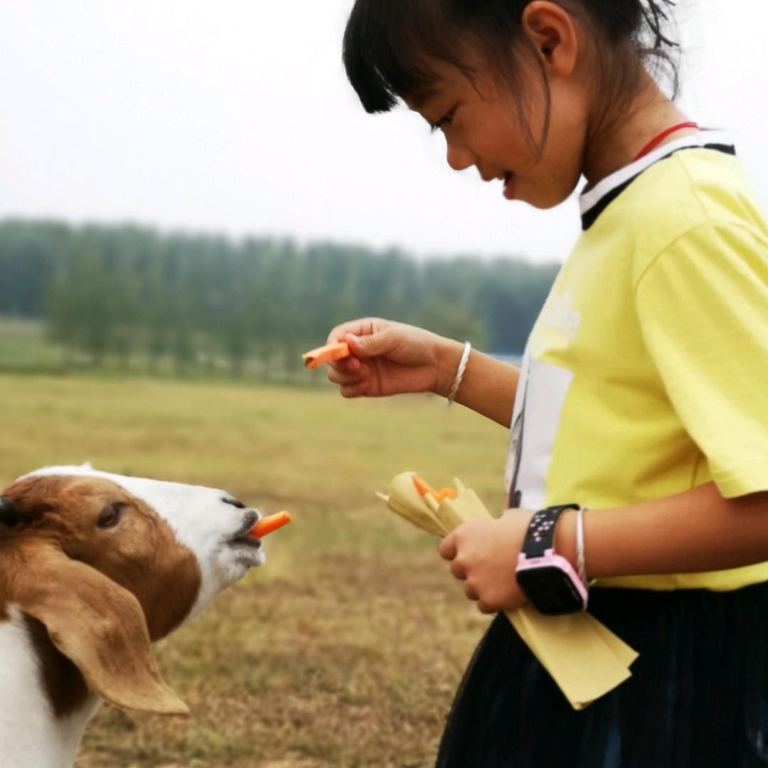 速一洗护郭小洁（文墨花苑店）