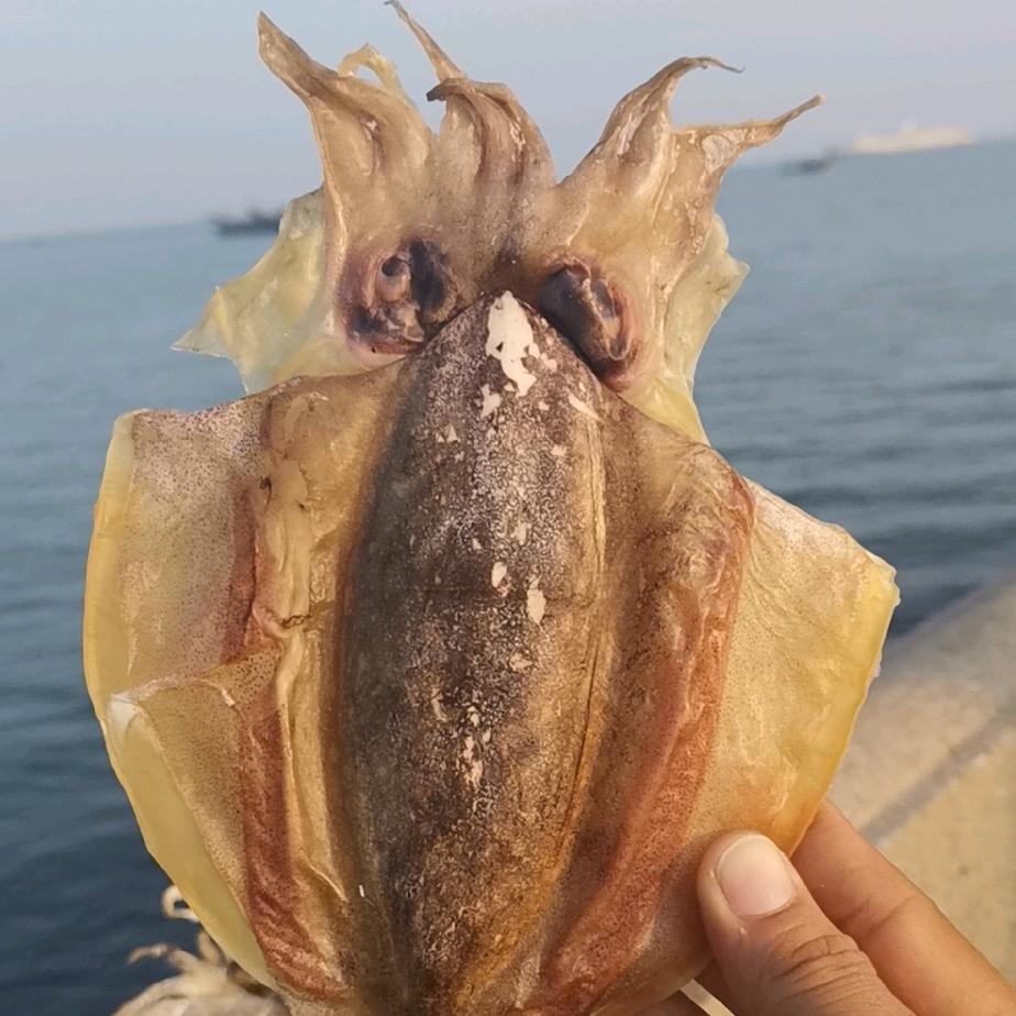 北海人家干货海味店