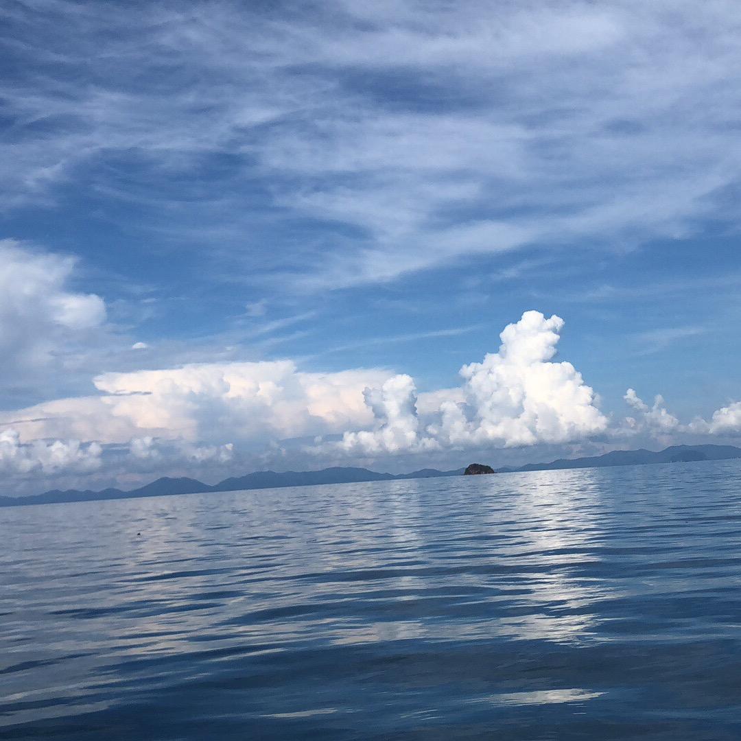 李浩