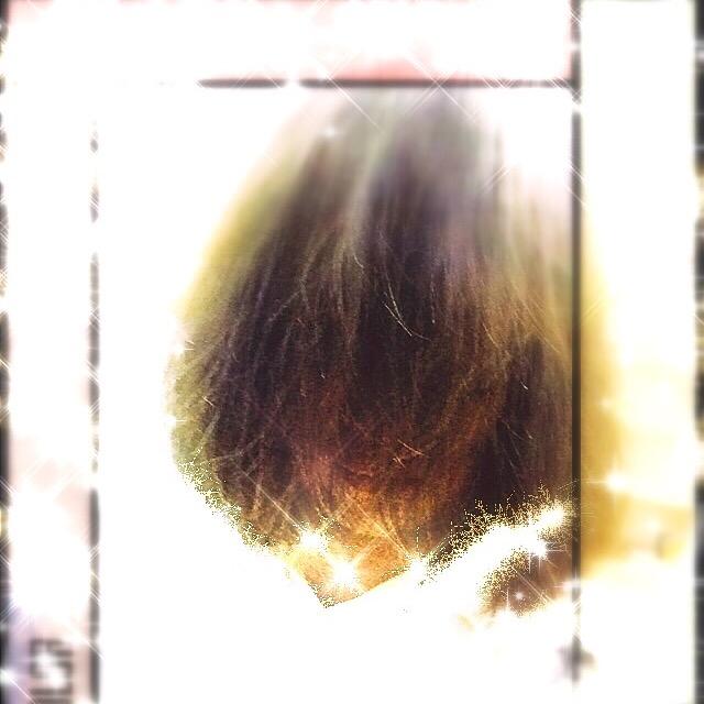 龙之舞