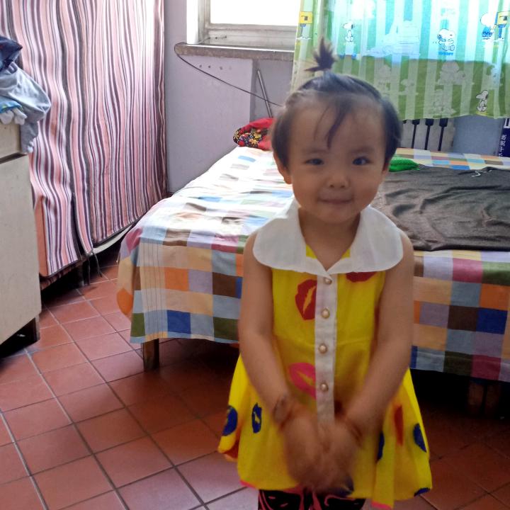 毛毛