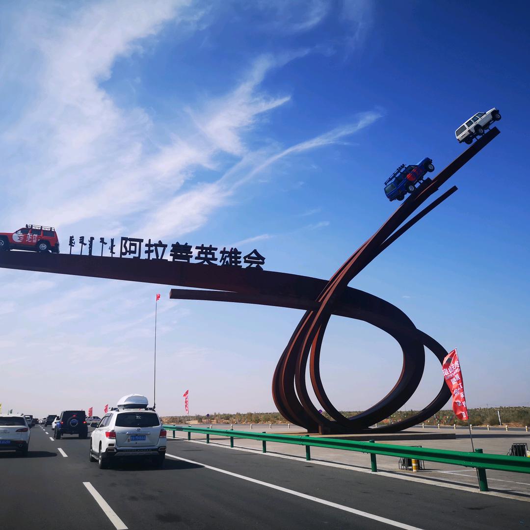 晨曦蕊