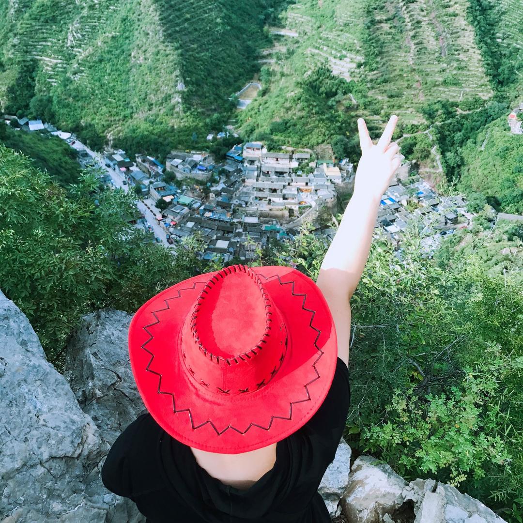 食草恐龙爱吃肉