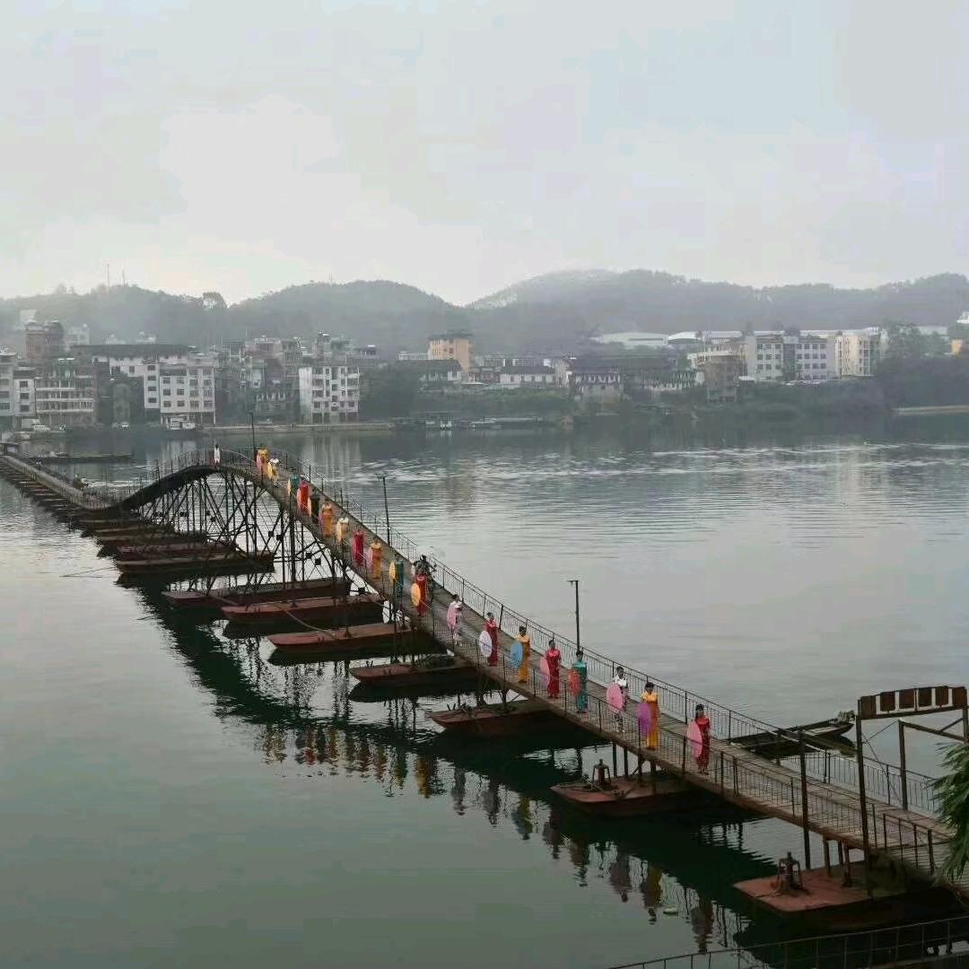 温一壶月光下酒