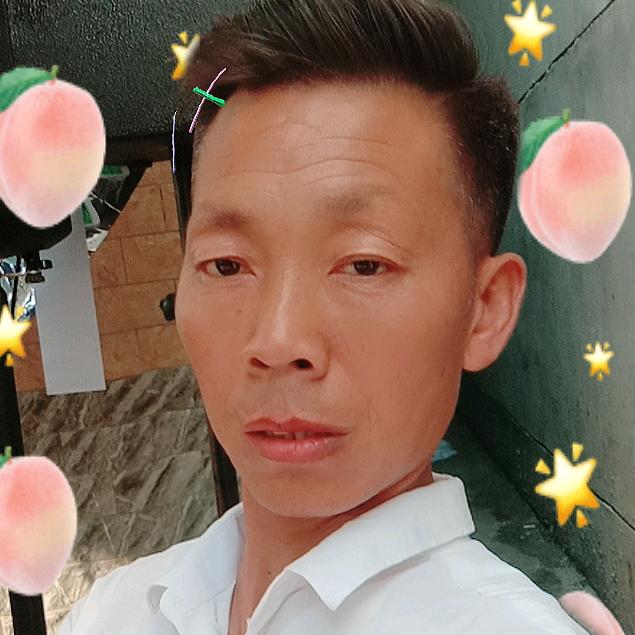 李本高乐队