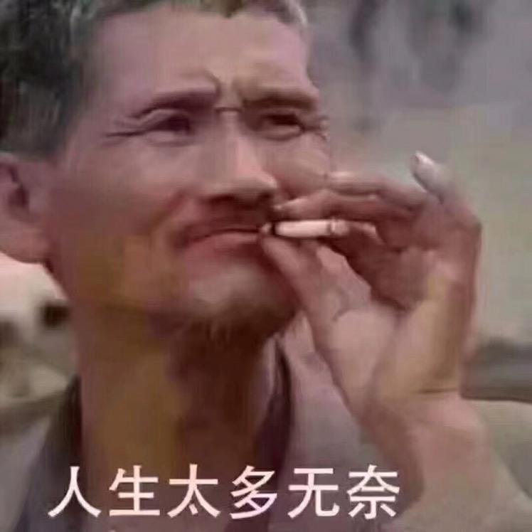 上岸的鱼儿i