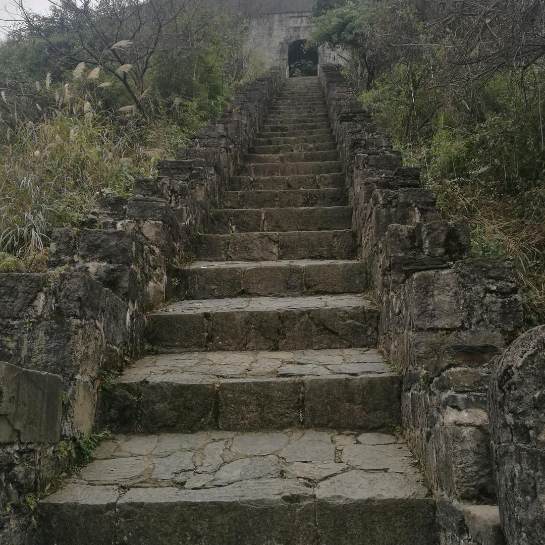在路上