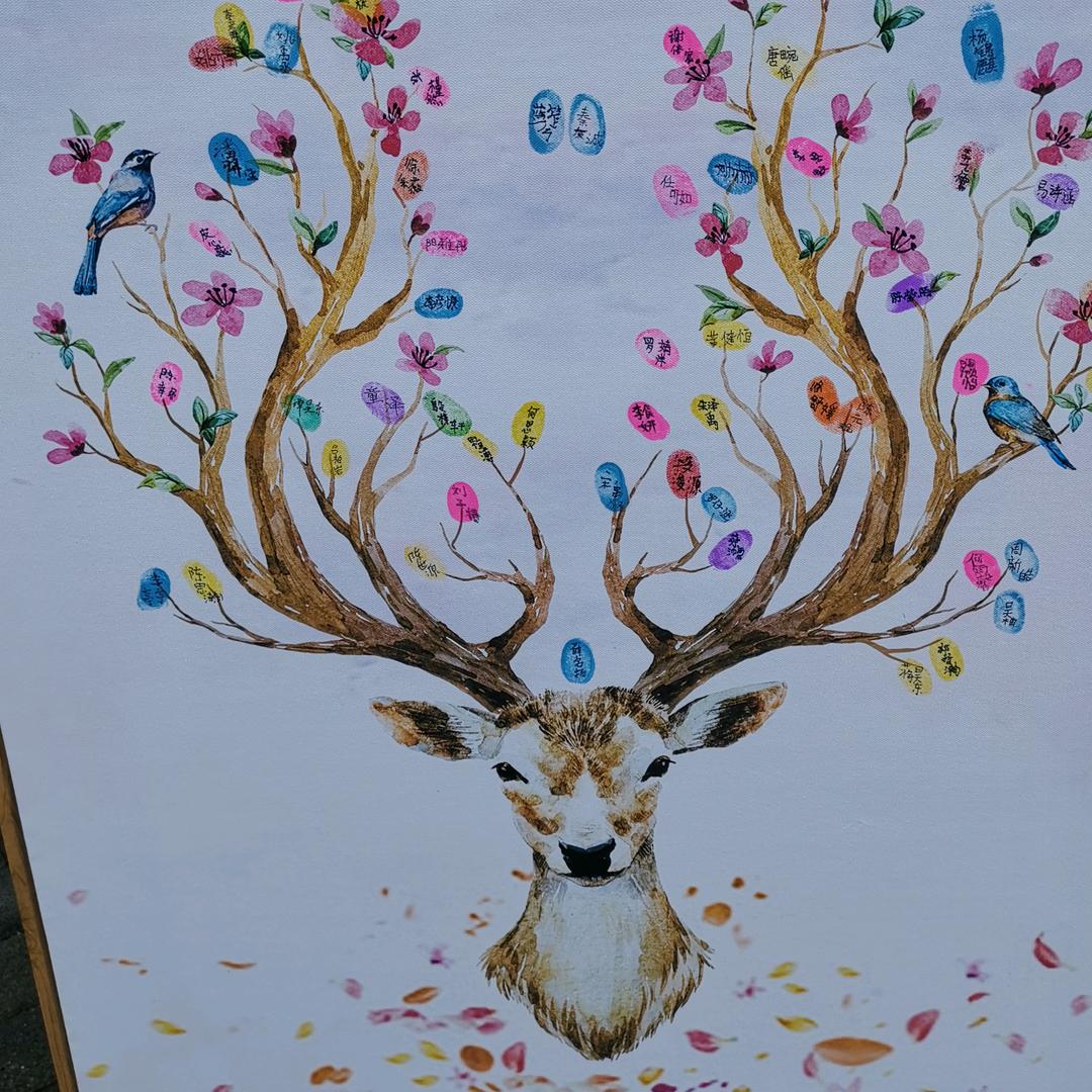 繁星点点2217704946380