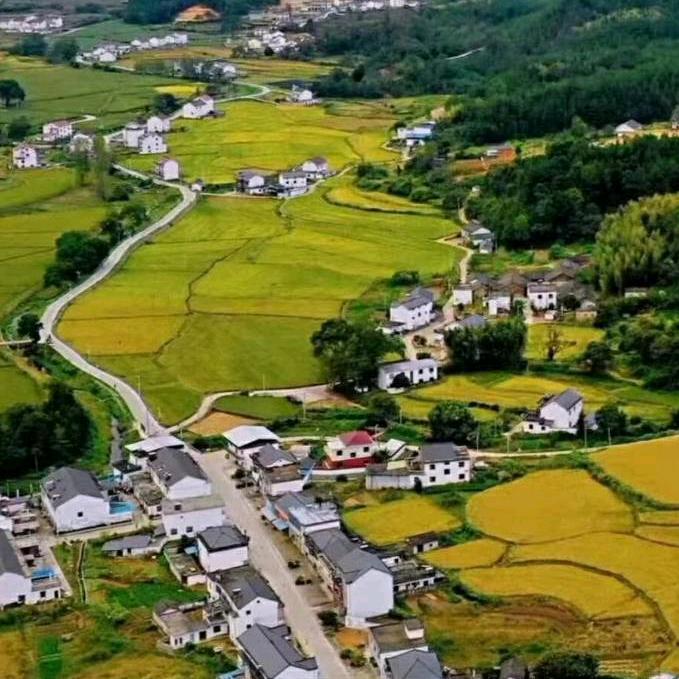 葛建国竹木成林