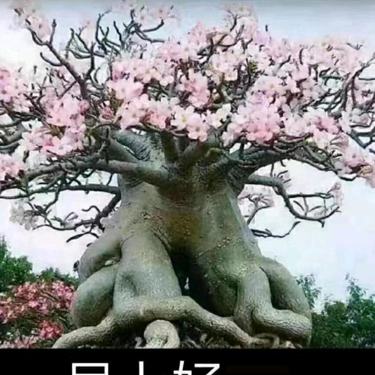 贤