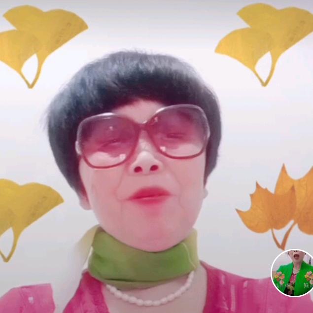 白云113