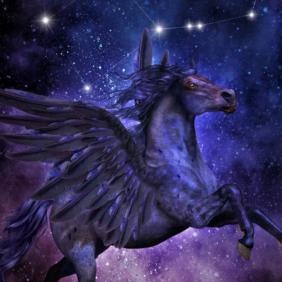 如果爱请深爱如果弃请彻底