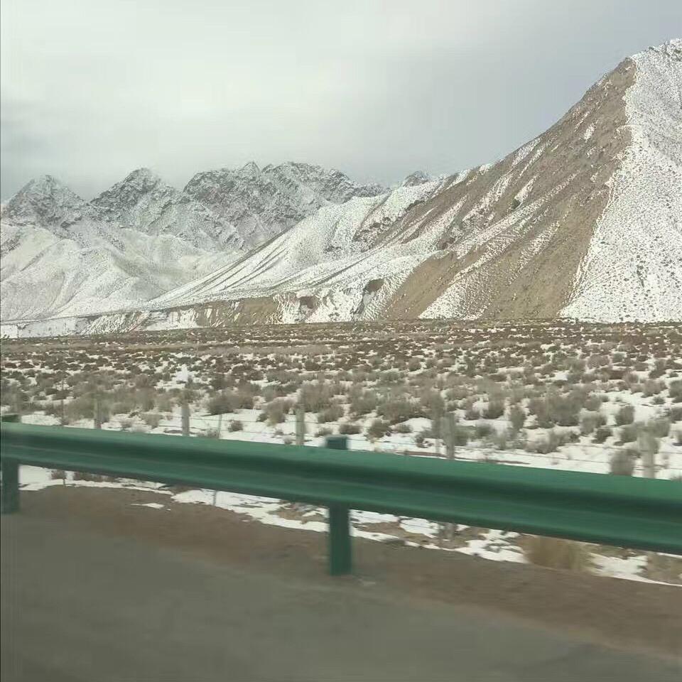 青海野生黑枸杞基地