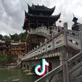 奉化水蜜桃
