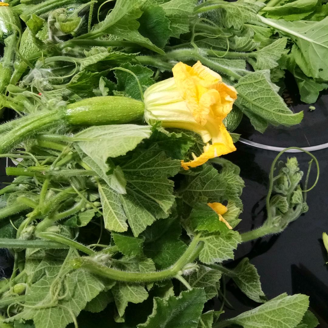 用户2614977092621李庆秀