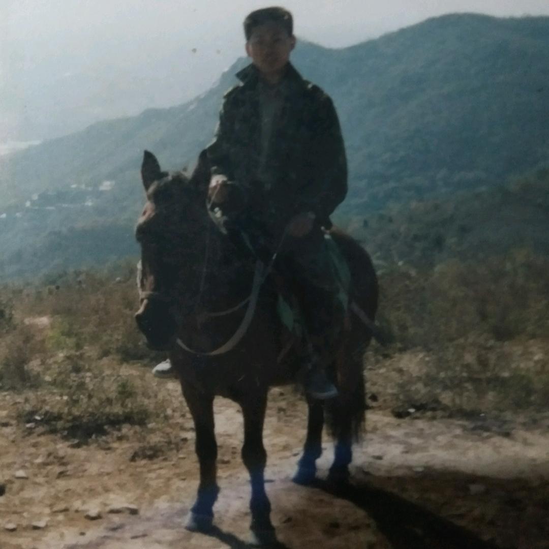 龙门鱼