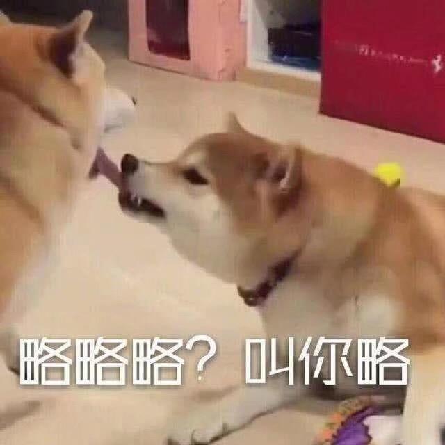 可蛋皮