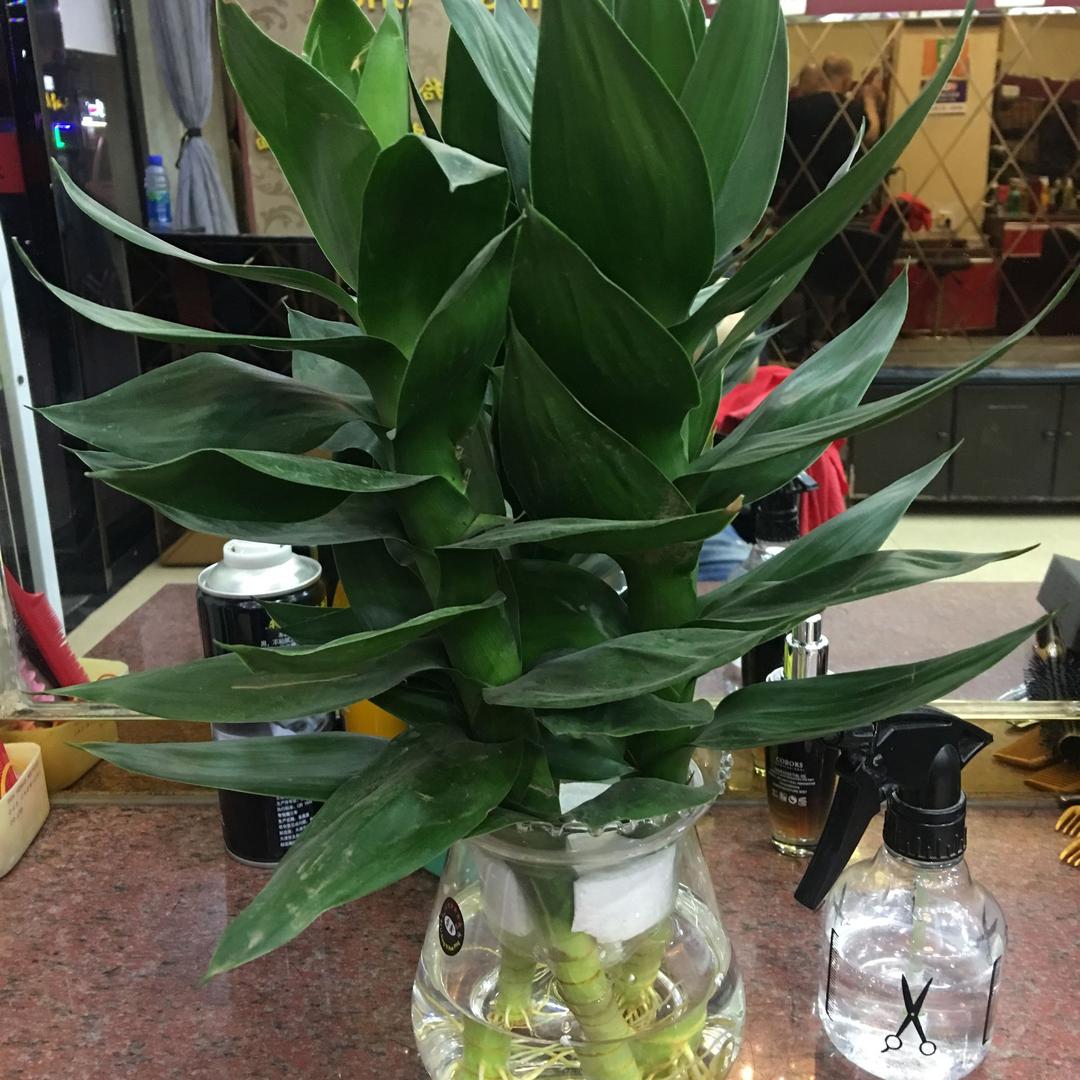 快乐e 温州青春