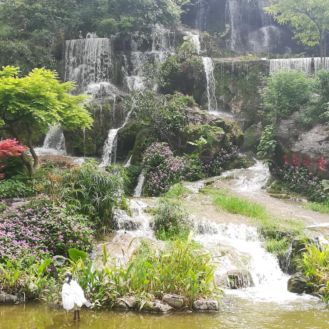 天涯