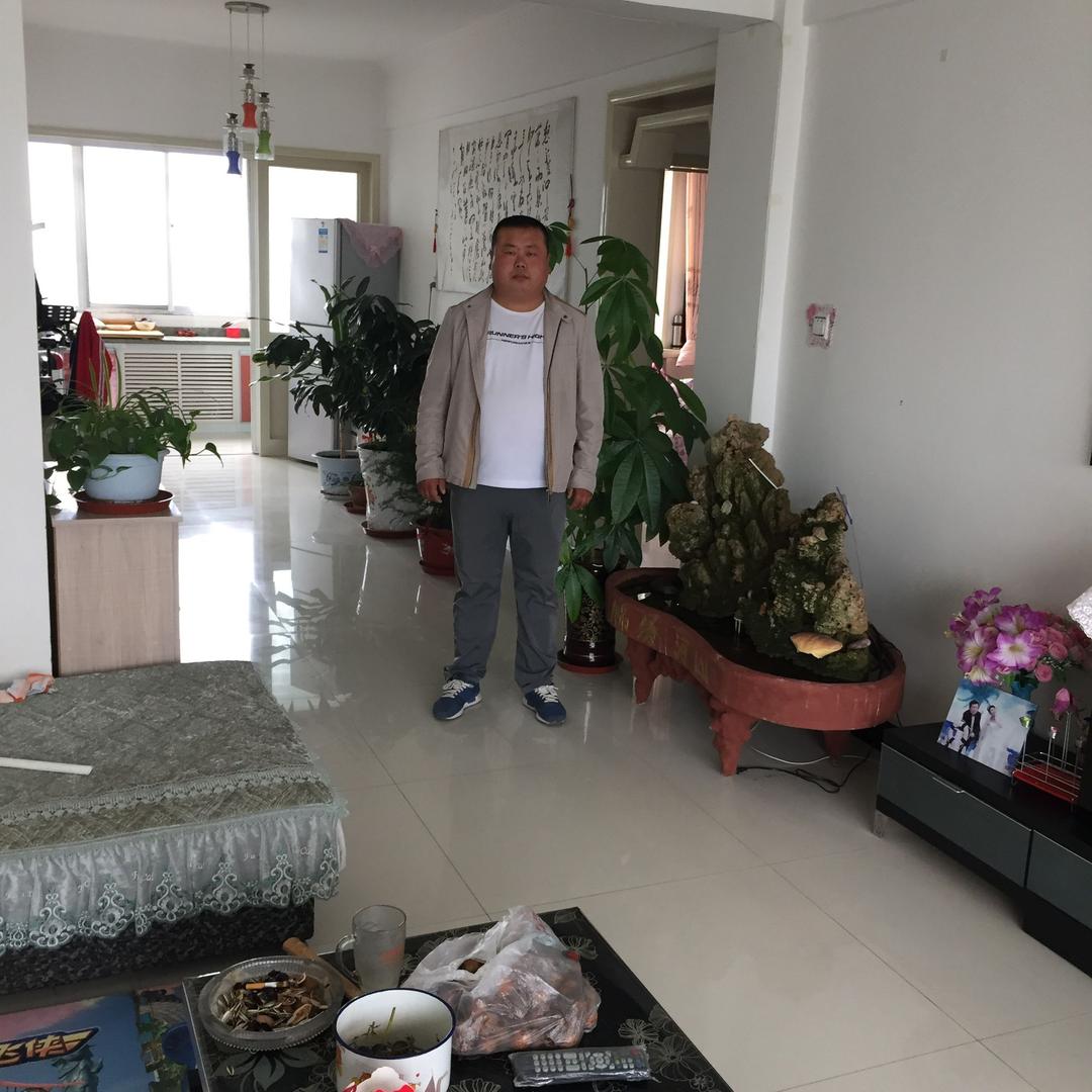 王金虎