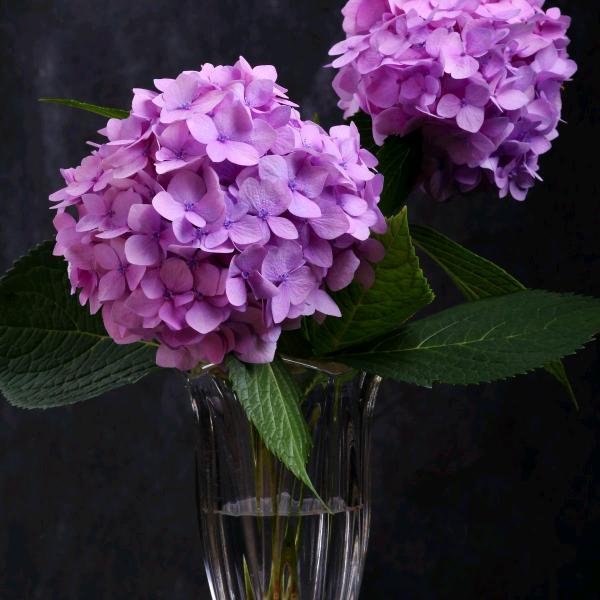 不开心，看抖音，路过666888