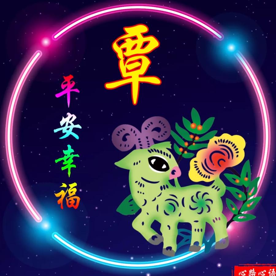 菊花刚开