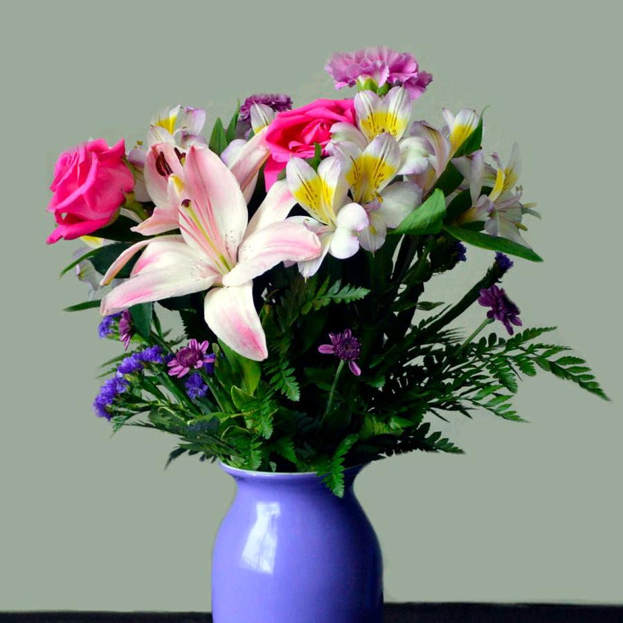 经过千锤百炼的小花