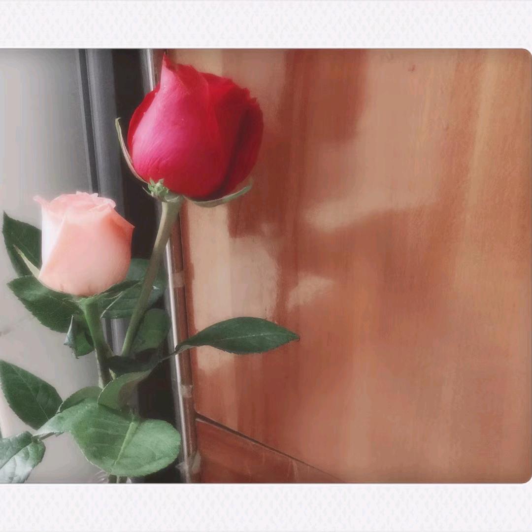 一心一意看人生