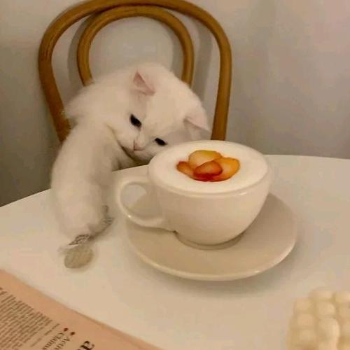 敢敢