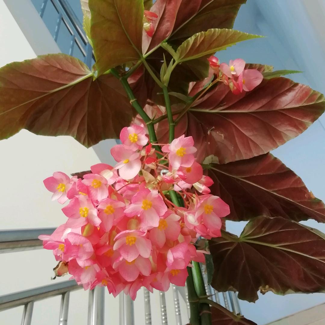 明亮春天