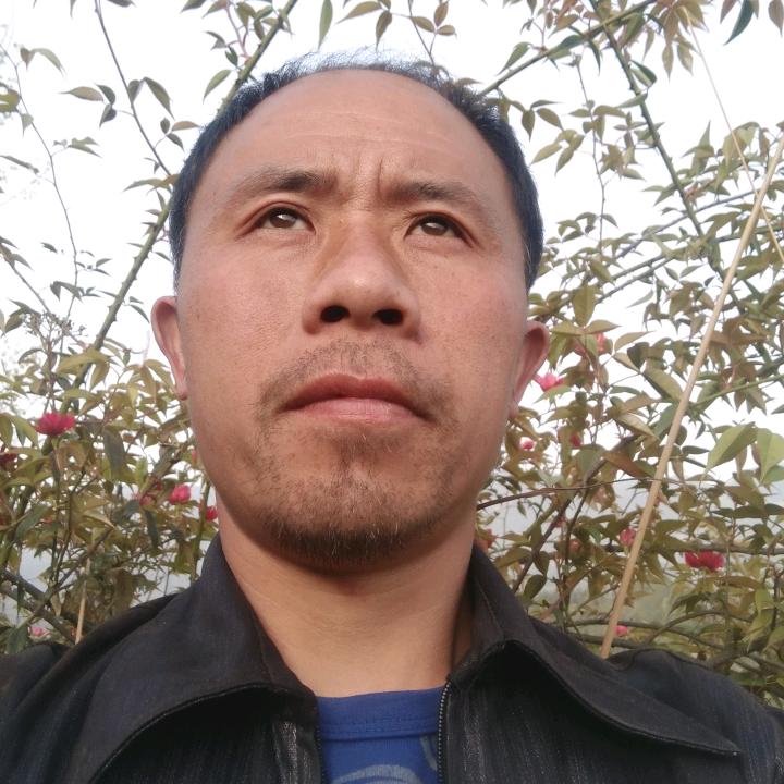 人生几许