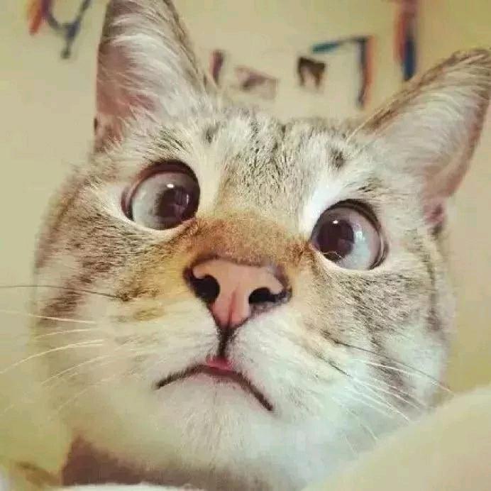 童童的跟班✨（H）