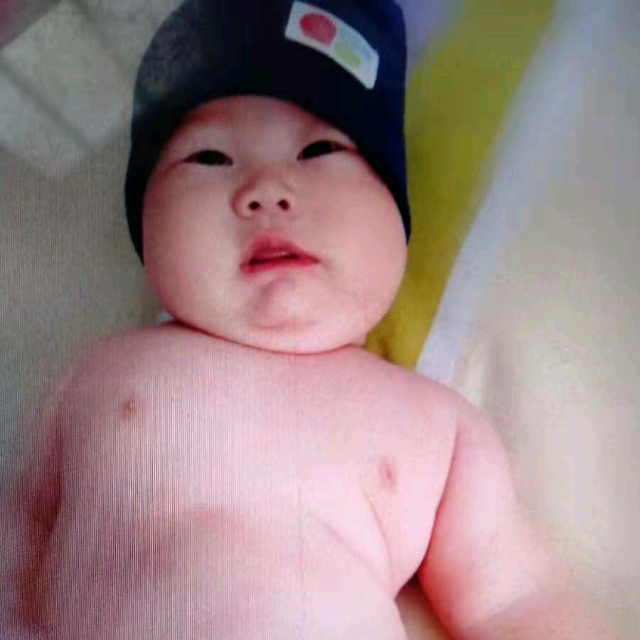 早起的鸟儿有虫吃