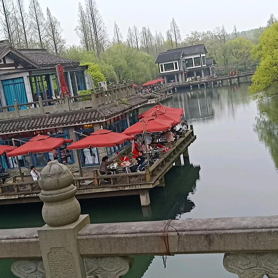 清姐健康导师