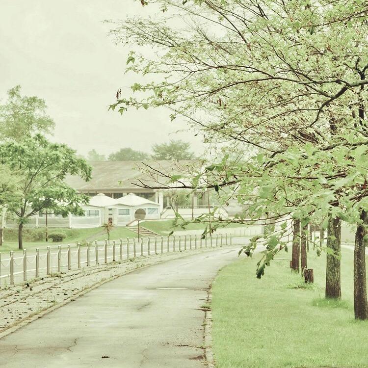 L我就是我L