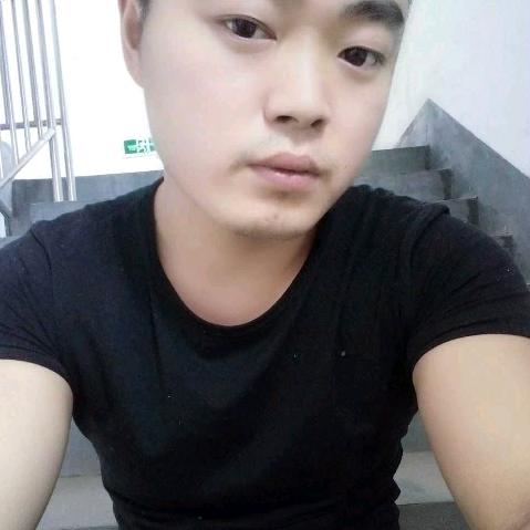 迷途老狗