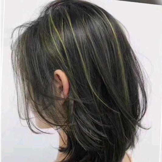太阳花🌸