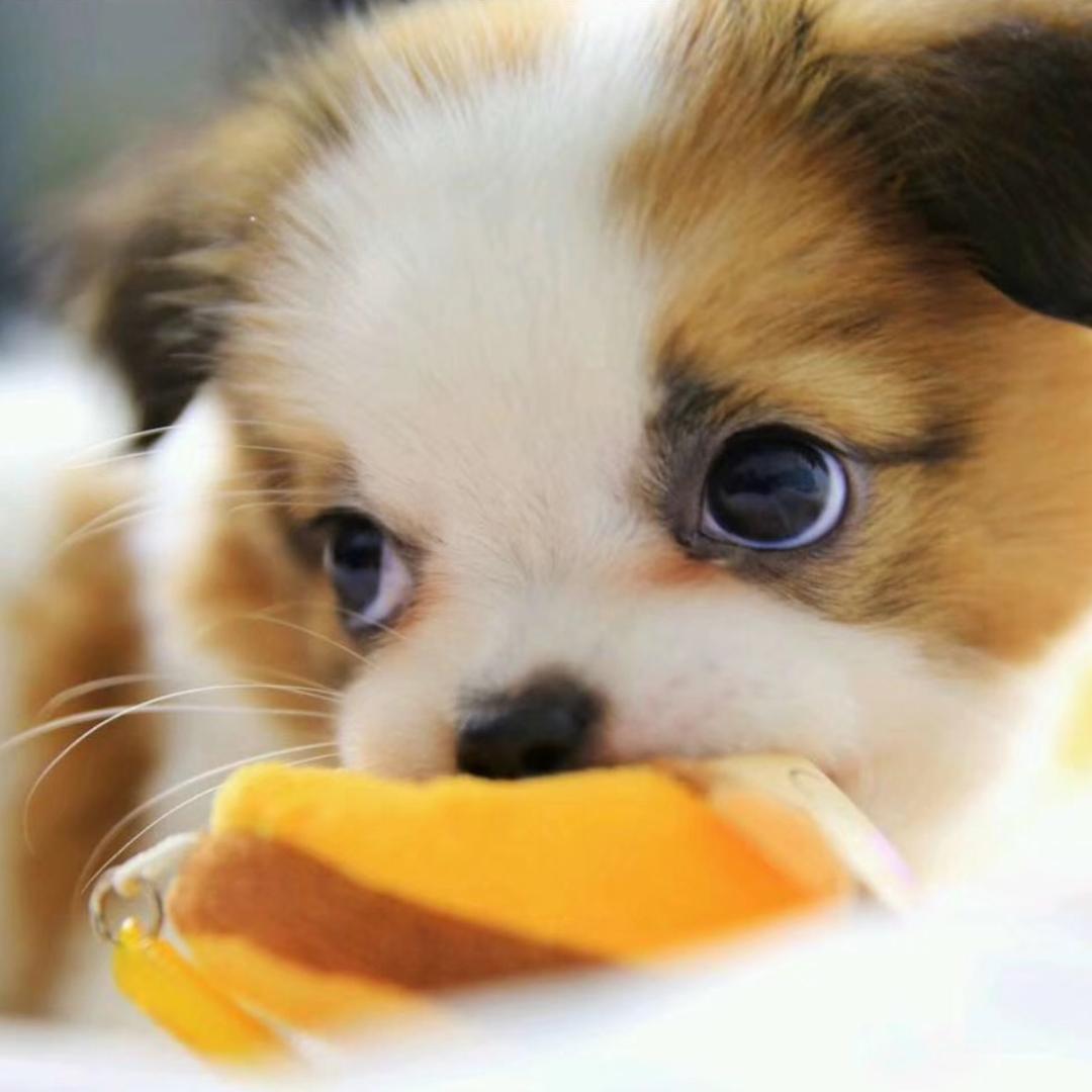 仙桃市杨台健康咨询中心