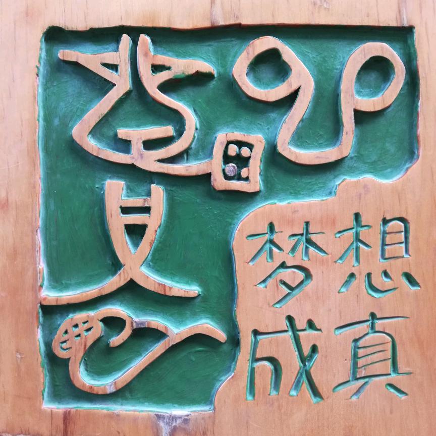 如影随形的猫