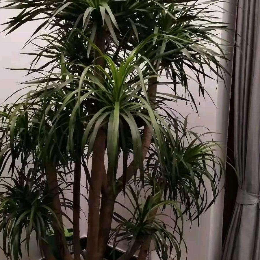 我就是我