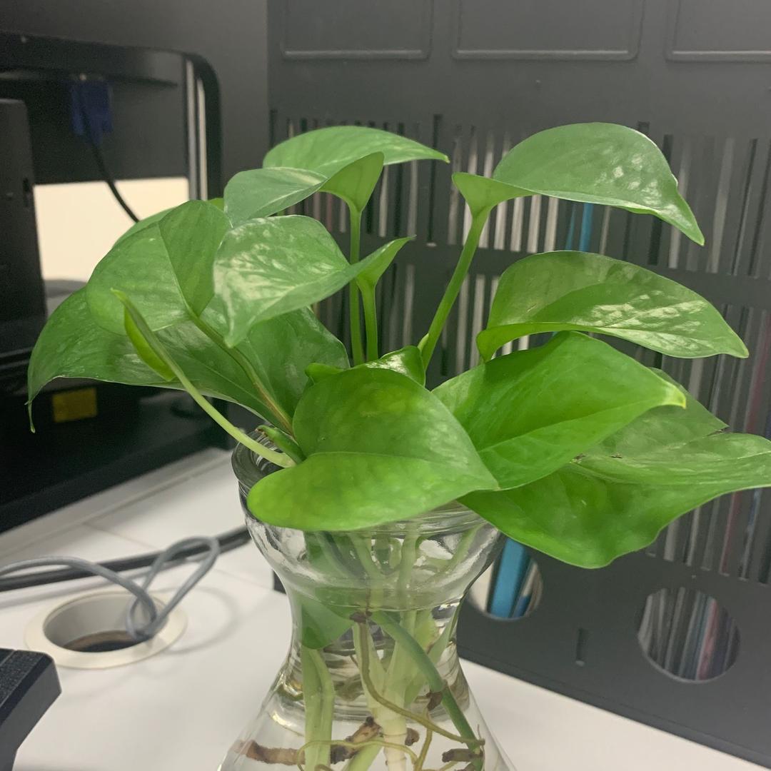 超级飞侠～～～