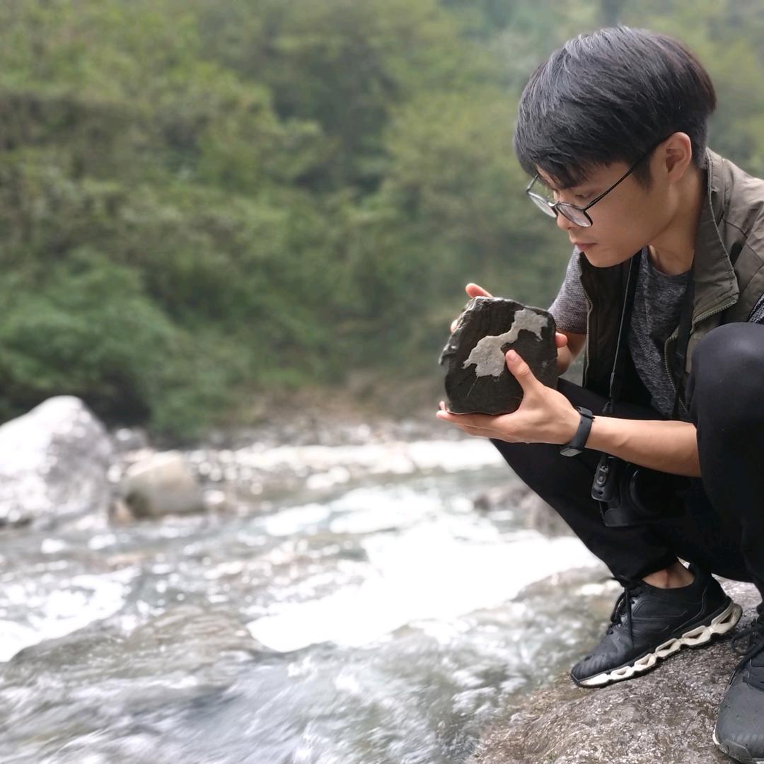 茶鱼