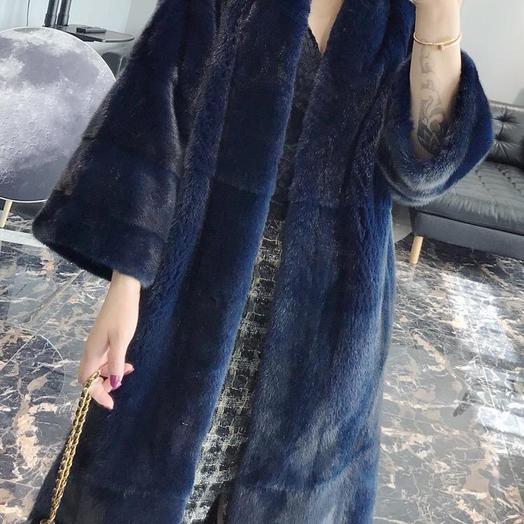 懒猫
