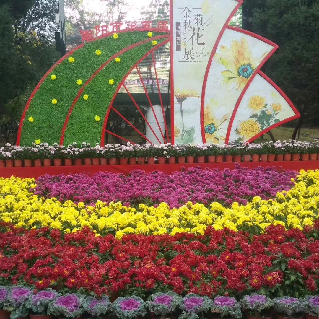 初心（拒私聊）