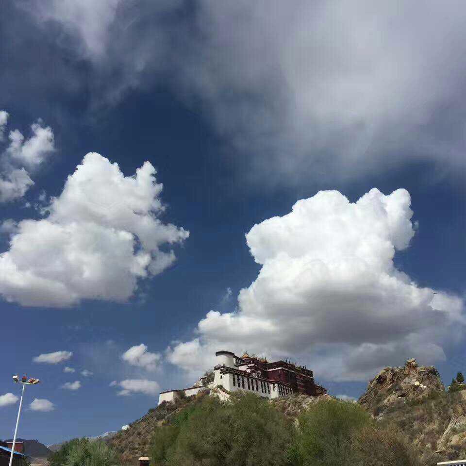 强哥来了