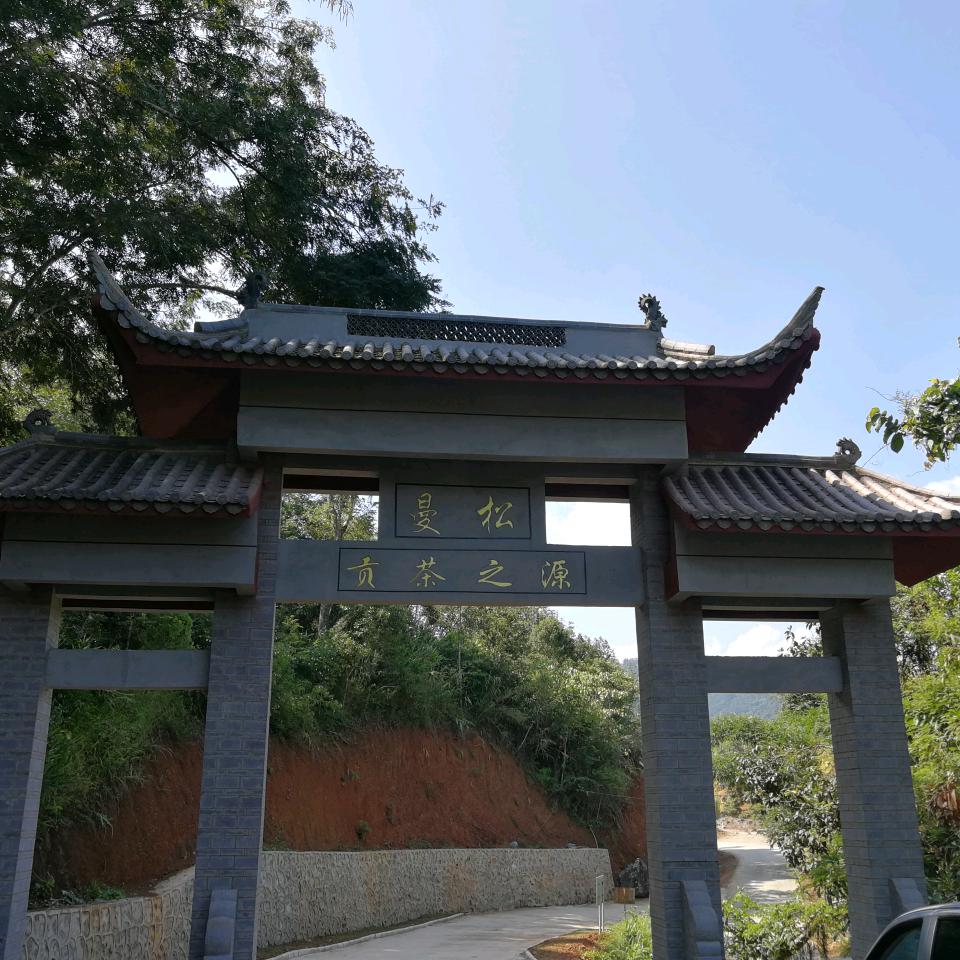 曼松39号普村长